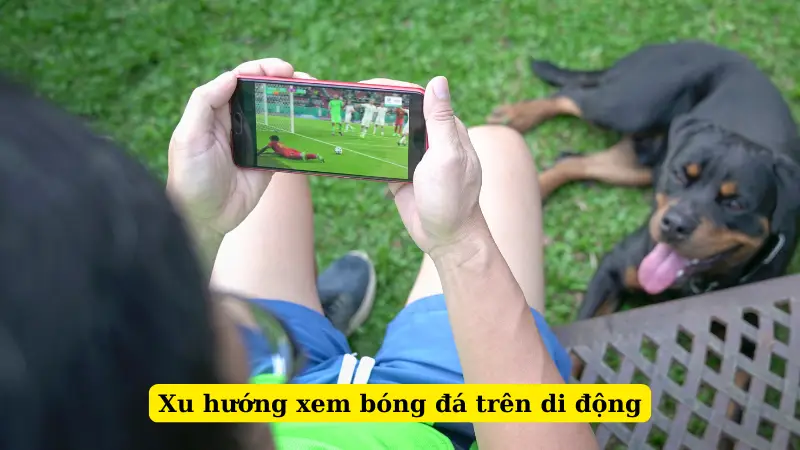 Xu hướng xem bóng đá trên di động